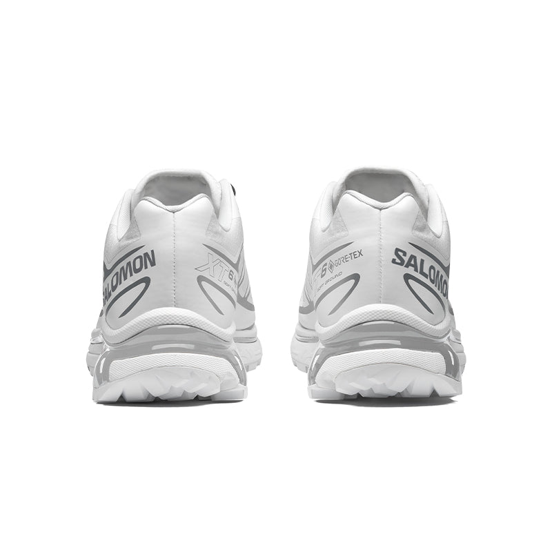 XT-6 Gore Tex White Silver